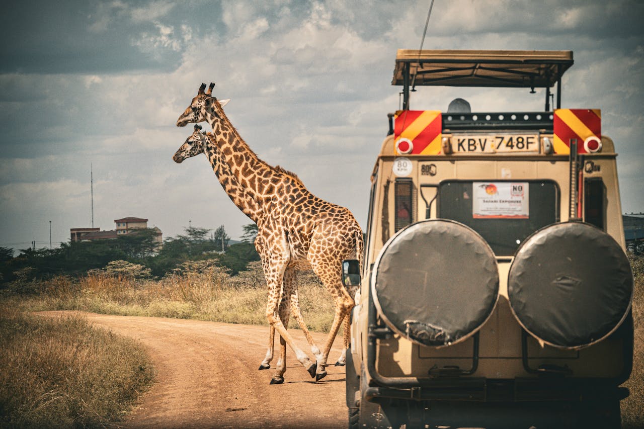 destination